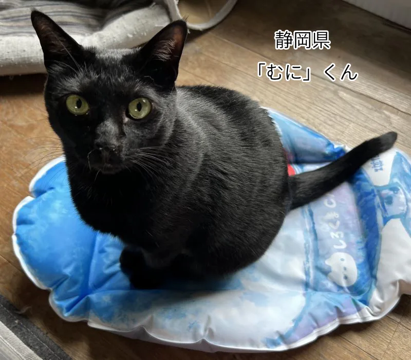 むにくん