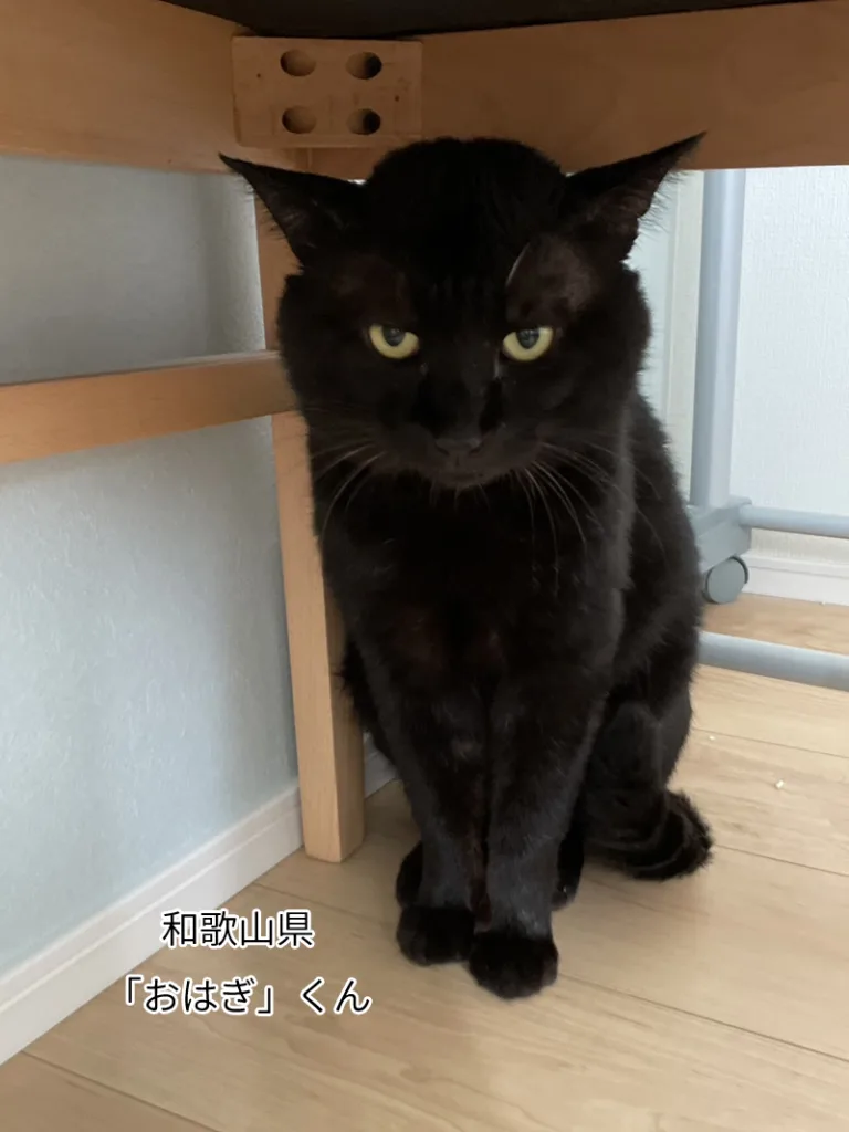 おはぎくん