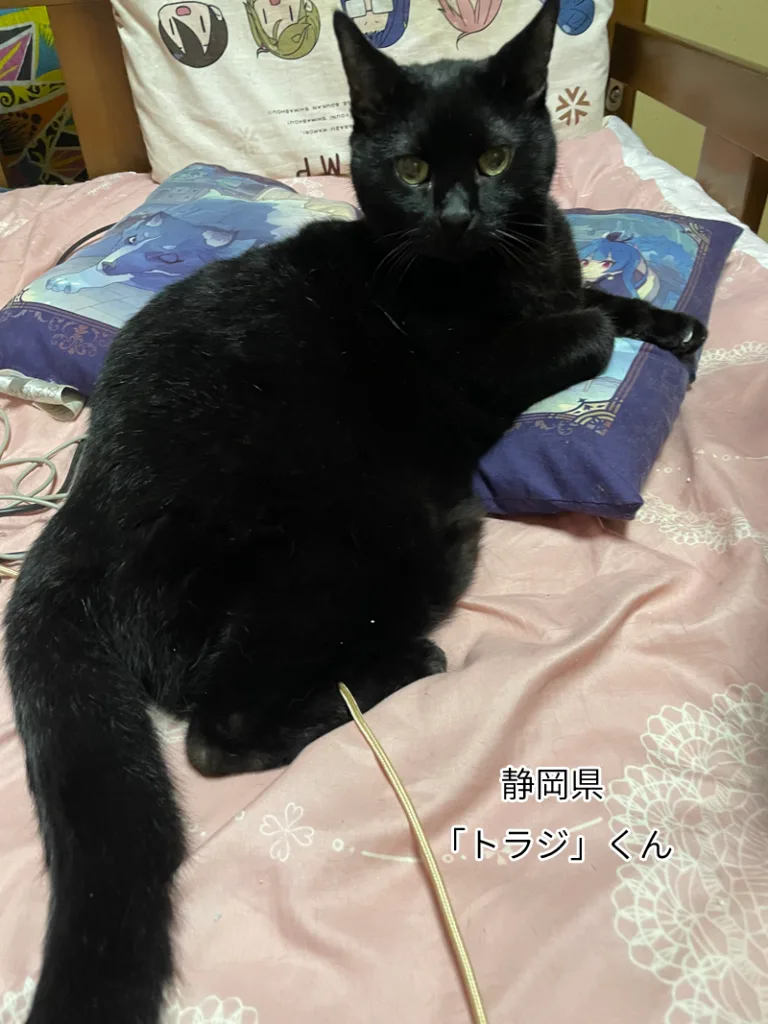 トラジくん