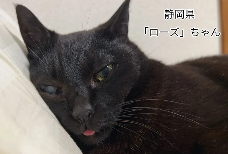 ローズちゃん