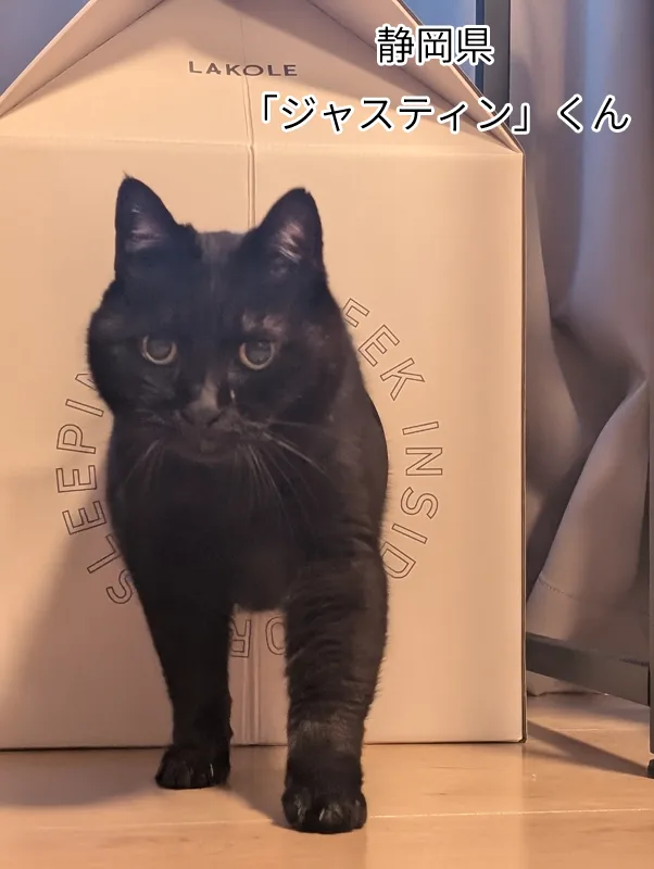 ジャスティンくん