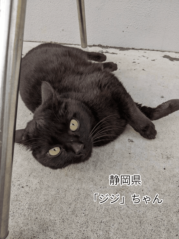 ジジちゃん