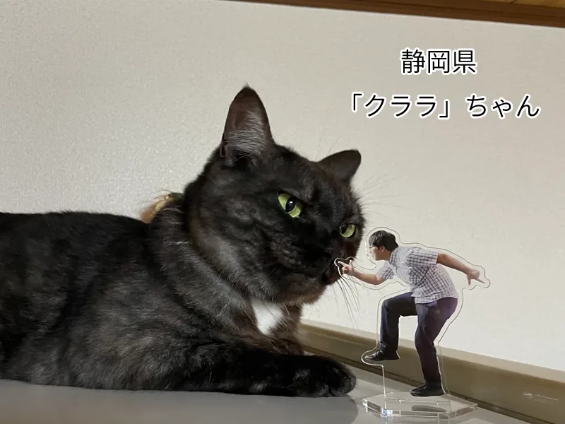 クララちゃん