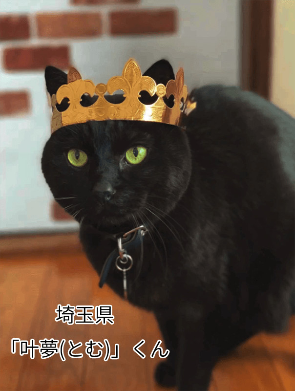 叶夢(とむ)くん